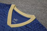 24-25 Palmeiras Royal blue Tank top and shorts suit