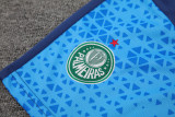 24-25 Palmeiras Royal blue Tank top and shorts suit