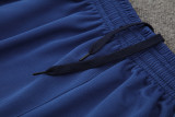 24-25 Palmeiras Royal blue Tank top and shorts suit