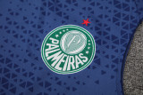 24-25 Palmeiras Royal blue Tank top and shorts suit