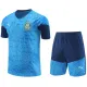 24-25 Palmeiras Lake blue Training Short Suit