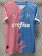 23-24 Palmeiras Pink Blue Special Edition Training shirts