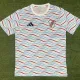 24-25 River Plate Grey Blue Training Shirts