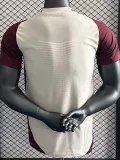 24-25 Bayern Khaki Brown Special Edition Player Version Soccer Jersey