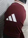 24-25 Bayern Khaki Brown Special Edition Player Version Soccer Jersey