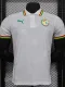 24-25 Senegal White Special Edition Player Version Training shirts