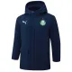24-25 Palmeiras Royal Blue Hooded Windbreaker Fabric Cotton Coat #G234