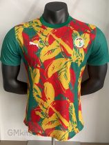 24-25 Senegal Red Yellow Green Player Version Training shirts