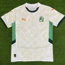 24-25 Ivory coast Away Fans Soccer Jersey