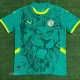 24-25 Senegal Away Fans Soccer Jersey