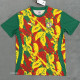 24-25 Senegal Red Yellow Green Fans Training shirts