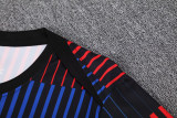 25-26 BAR Red blue Training Short Suit