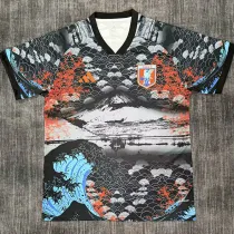 25-26 Japan Special Edition Fans Soccer Jersey (云腾)