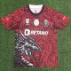 24-25 Porto Red Special Edition Fans Soccer Jersey