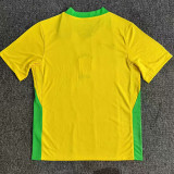 25-26 Brazil Home Fans Soccer Jersey (带星)