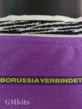 24-25 Dortmund Purple Special Edition Player Version Soccer Jersey