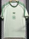 24-25 Celtic Light Green Special Edition Fans Soccer Jersey