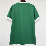 25-26 Palmeiras Home 1:1 Fans Soccer Jersey
