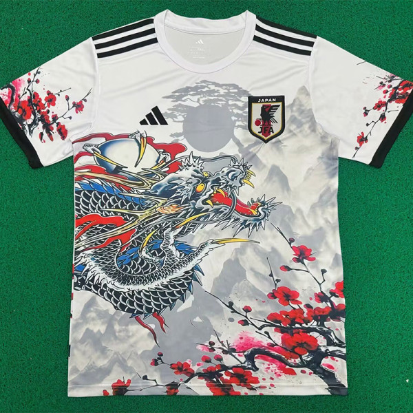 25-26 Japan Special Edition Fans Soccer Jersey (龙)