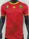 25-26 Cameroon Away Player Version Soccer Jersey