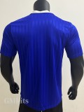2025 AD Casual Blue Player Version Training shirts (三叶草)