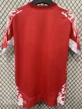 24-25 Man Utd Red Special Edition Fans Training shirts