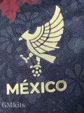 25-26 Mexico Special Edition Player Version Soccer Jersey