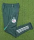 25-26 Algeria Dark green Training Long Pants (Have Pocket)