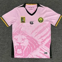 25-26 Cameroon Pink Fans Soccer Jersey