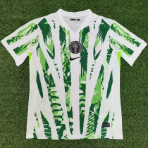 25-26 Nigeria Home Fans Soccer Jersey