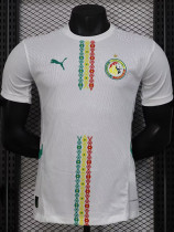 24-25 Senegal Home Player Version Soccer Jersey (带星)