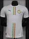 24-25 Senegal Home Player Version Soccer Jersey (带星)