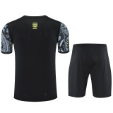 25-26 Brazil Grey Training Short Suit