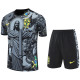 25-26 Brazil Grey Training Short Suit