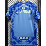 25-26 Tigres UANL Away Fans Soccer Jersey