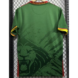 25-26 Cameroon Home Fans Soccer Jersey