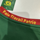 25-26 Cameroon Home Fans Soccer Jersey