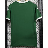 25-26 Palmeiras Home 1:1 Fans Soccer Jersey