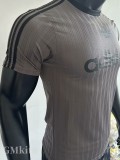 2025 AD Casual Grey Player Version Training shirts *三叶草