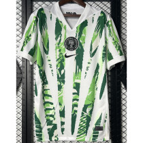 25-26 Nigeria Home Fans Soccer Jersey