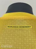25-26 Dortmund Yellow Special Edition Player Version Soccer Jersey