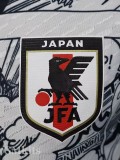 25-26 Japan Special Edition Player Version Soccer Jersey (蓝袖)