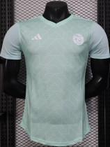 25-26 Algeria Light green Player Version Training shirts (白标)