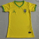 25-26 Brazil Yellow Special Edition Women Training shirts (女)飞人