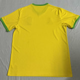 25-26 Brazil Yellow Special Edition Training shirts (飞人)