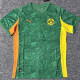 25-26 Dortmund Special Edition Green Fas Soccer Jersey