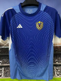 25-26 Venezuela Blue Goalkeeper Soccer Jersey