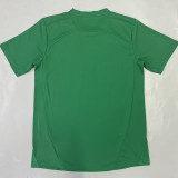 25-26 Palmeiras Green Goalkeeper Soccer Jersey