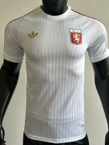 24-25 Lyon 70th Anniversary White Player Version Training shirts
