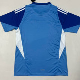 25-26 Chivas Blue GoalKeeper Soccer Jersey